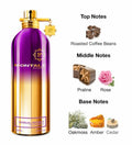 Montale Sensual Instinct eau de Parfum 100ml