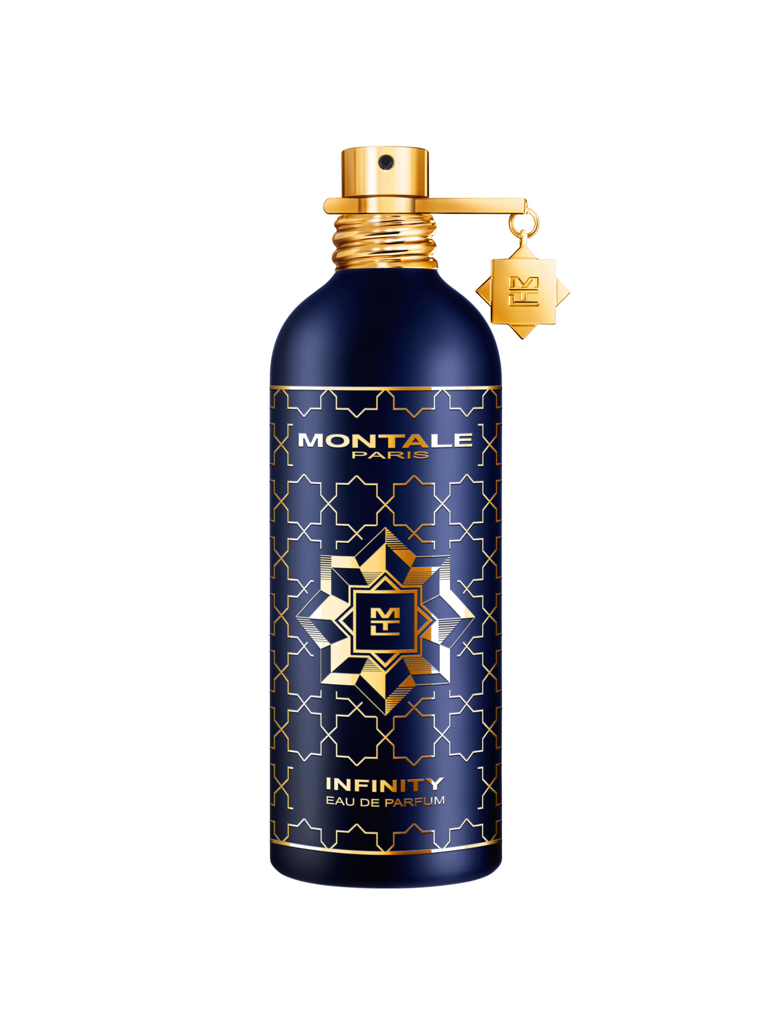 Montale Infinity 100ml eau de parfum